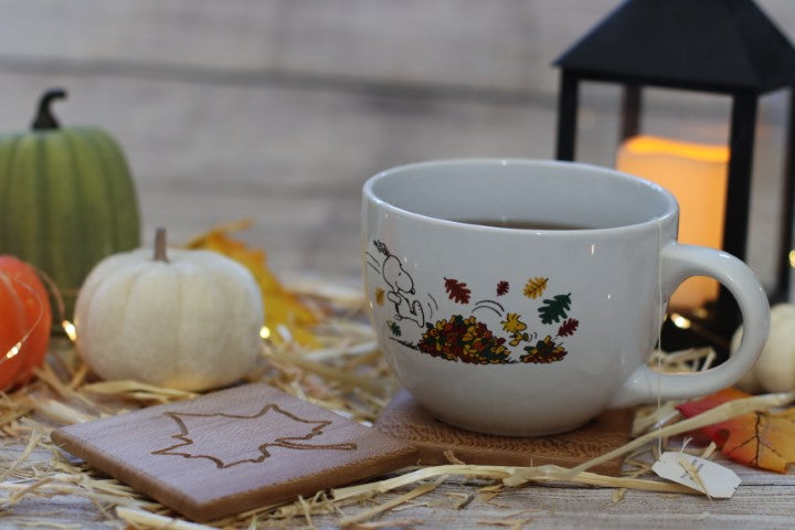 Sycamore Coaster Set of 4
