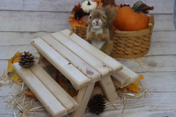 Squirrel Picnic Table Feeder