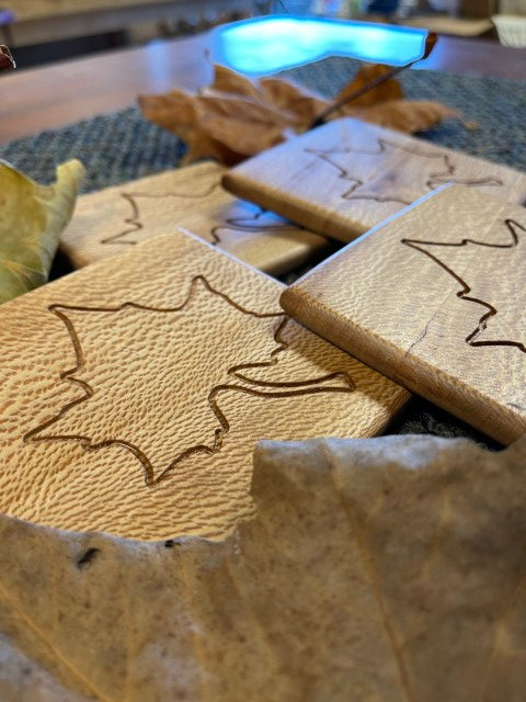 Sycamore Coaster Set of 6