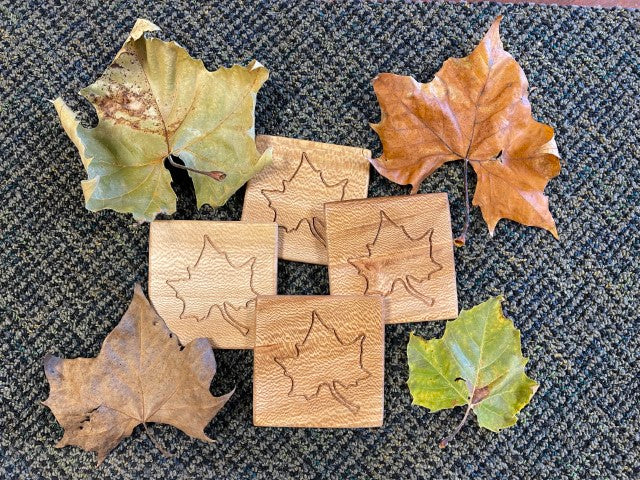 Sycamore Coaster Set of 4