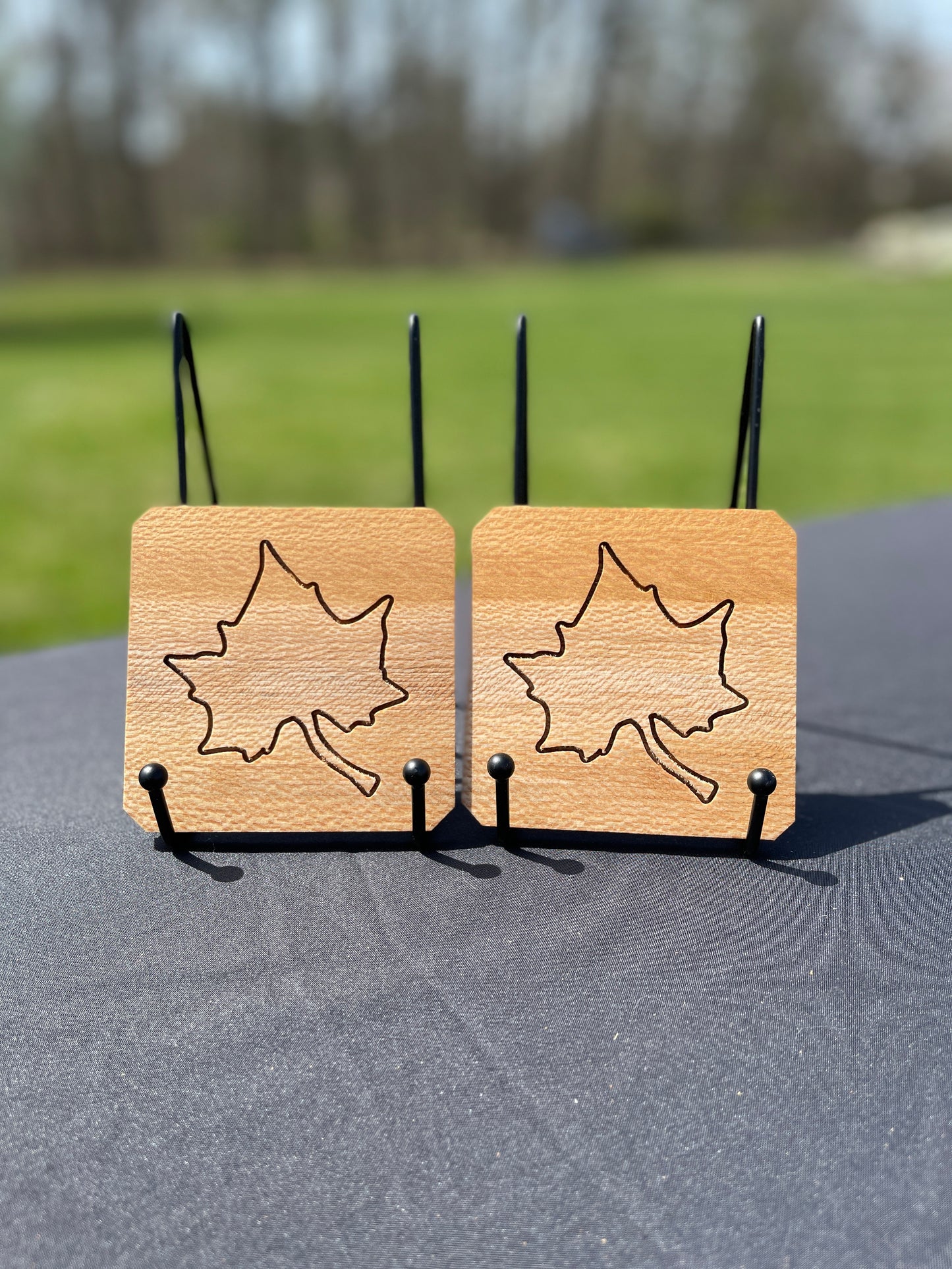 Sycamore Coaster Set of 2