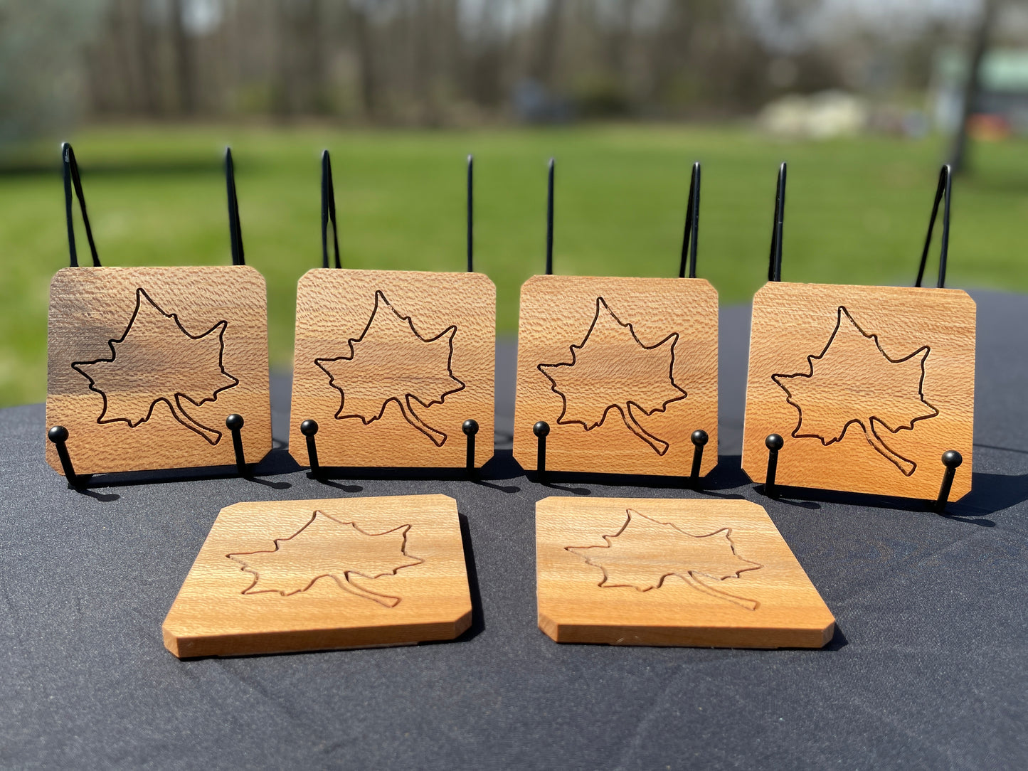 Sycamore Coaster Set of 6