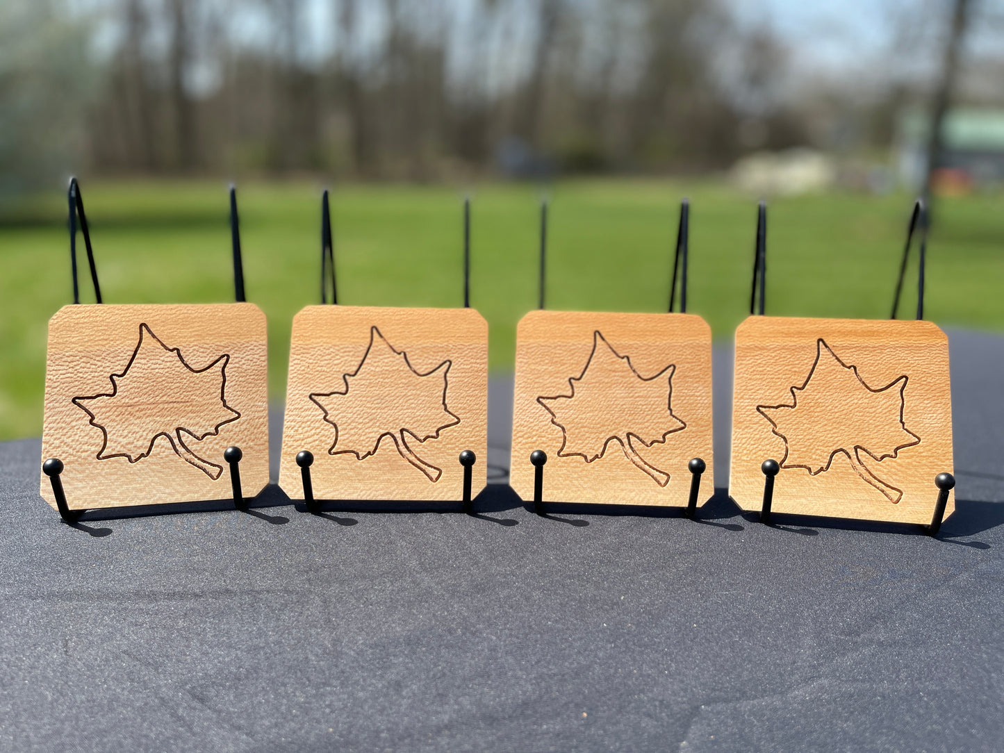 Sycamore Coaster Set of 4